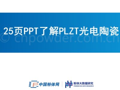 25P(yng)PT˽PLZTմ