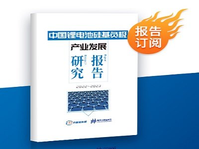 (bo)rtЇ늳عؓ(f)Oa(chn)I(y)l(f)չо(bo)棨2022~2023ذƳ
