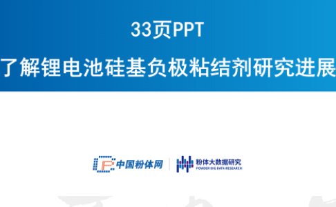 33PPT˽늳عؓOճY(ji)оMչ