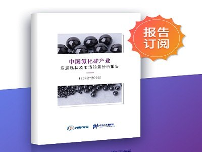ȫ˽CõմЇa(chn)I(y)l(f)չF(xin)Јǰ棨2022~2023rt