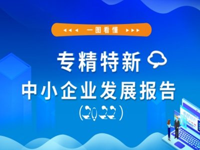 һDСIlչ棨2022棩