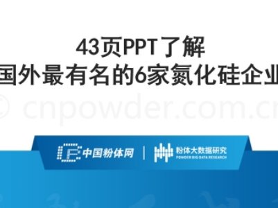 43PPT˽6ҵI
