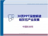 30PPTȽxʯaIlչ